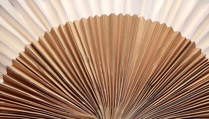 Close-up of a delicately folded paper fan, showcasing intricate pleats and warm, earthy tones.