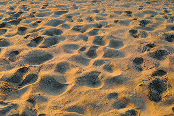 愛知県田原市太平洋ロングビーチの朝焼けの砂浜の模様