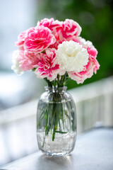カーネーションの花