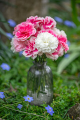 カーネーションの花