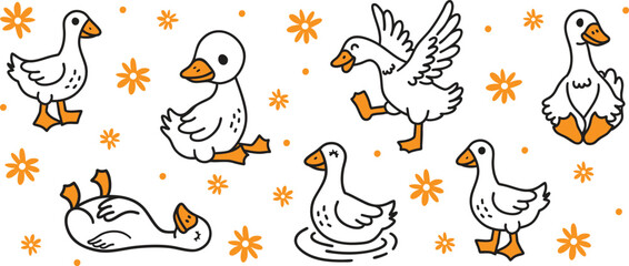 Cute White Goose set illustration. Vector cliparts of domestic birds. Farming
