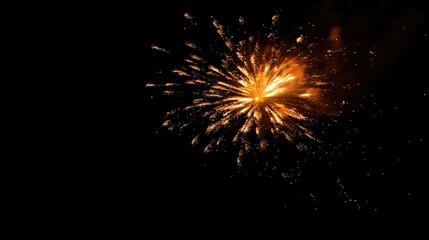 Fototapeta premium fireworks in the night sky