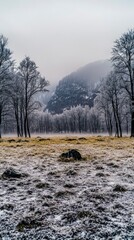 Winter Wonderland  Frosty Trees  Foggy Mountains  Snow Covered Field