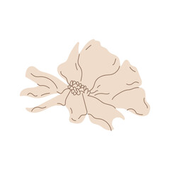 Pink flower blossom radiating beauty with its gentle, lush petals. A natural botanical element ideal for decoration or garden-inspired designs. Flat vector illustration isolated on white.