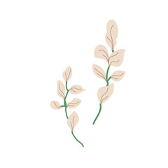 hand drawn delicate flowers, rose flower arrangement vector drawing EPS 10