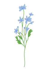 hand drawn delicate flowers, lilac flower arrangement vector drawing EPS 10.