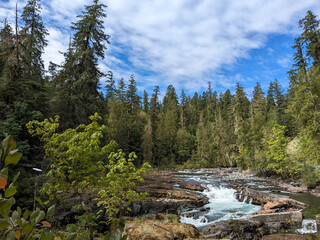 Autumn forest scenes at Stamp River Provincial Park