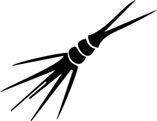 Zooplankton black silhouette, flat vector illustration isolated on white background. Collection of microscopic plankton, inhabitants of underwater life - ocean, sea and freshwater