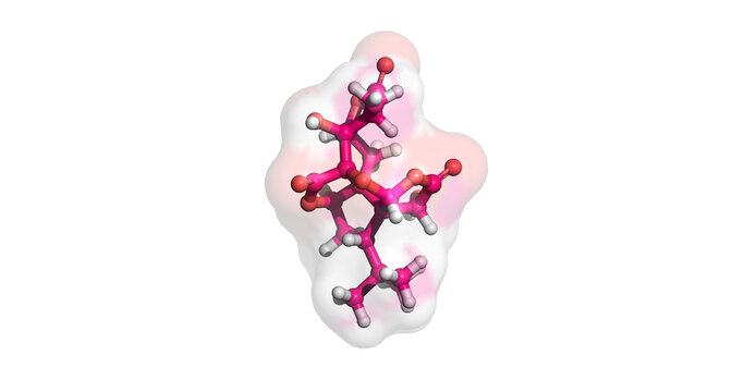 Ginkgolide B, platelet activating factor antagonist, 3D molecule 4K