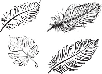 Obraz premium Collection of leaf illustrations in black and white with unique textures