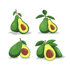 Vector Illustration of Fresh Avocado Fruit Design