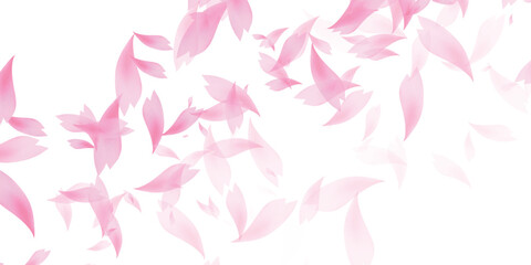 和柄　桜　春　背景