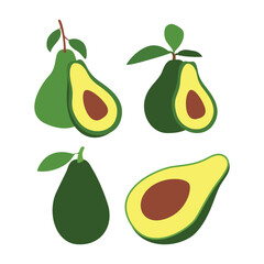 Vector Illustration of Fresh Avocado Fruit Design