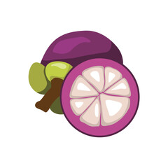 Exotic Mangosteen Fruit, Fresh Tropical Delight