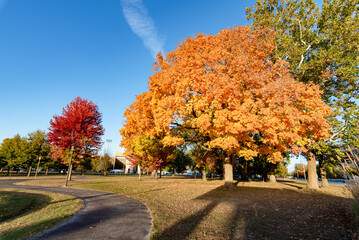 Fall Foilage in Indiana