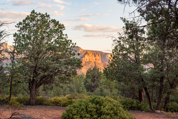 Rural landscape in the foreground of towering redrock mountains