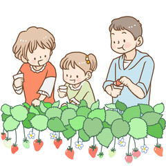 いちご狩りをする家族