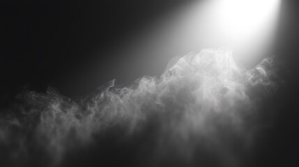 Obraz premium Dreamy fog details adding contrast to a shadowy clean background