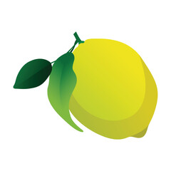 Fresh Lemon Vector Illustration for Vibrant Citrus Graphics