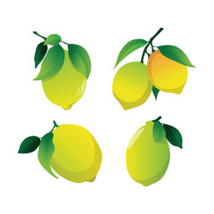 Bright Yellow Lemon Vector Art for Fresh Designs