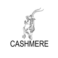 Cashmere goat. Boer goat standing view. Ink black, blue and white doodle drawing in ink drawing, calligraphy outline style. logotype Eps 10. Vector illustration. 