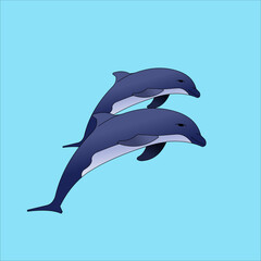 A vector illustration of two racing dolphins in flat and outline style. Illustration for aquatic, marine wealth, sea world, ocean, and wildlife themes.