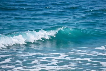 Fototapeta premium wave on the sea