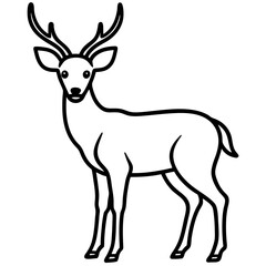 deer silhouette isolated on white