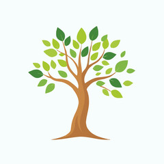 Obraz premium tree with leaves