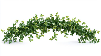 Obraz premium Ivy vines with green leaves, climbing creeper plant, botanical decorative design elements isolated on transparent background. Hedera branch garden decor, floral twigs, Realistic 3d vector illustration