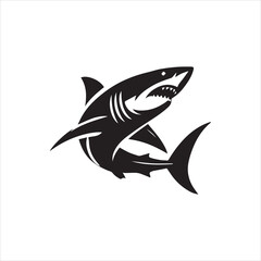 illustration of a shark