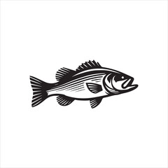 black and white fish