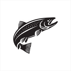 fish on white background