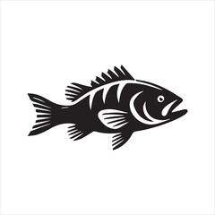 fish isolated on white