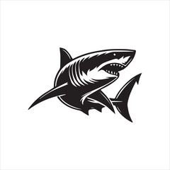 illustration of a shark