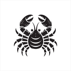 crab spider illustration