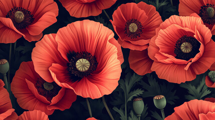 Pattern with poppies flowers. Vintage design element