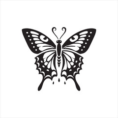 butterfly on white background