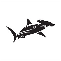 shark isolated on white
