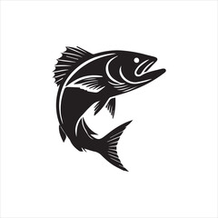 black and white fish