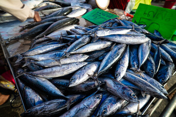 Obraz premium Tuna seafood fish sell in local fishery market