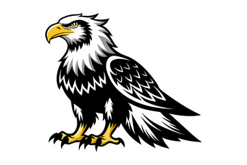 American bald eagle, bald eagle isolated on white