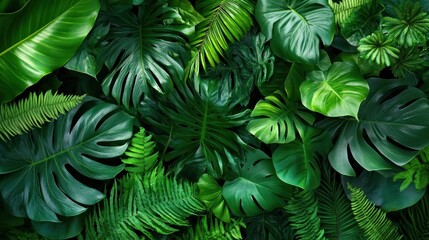 Tropical Green Leaf Background