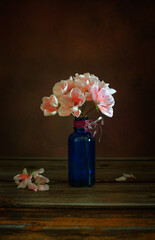 Small bouquet of blooming geranium. Still life with flowers close-up.