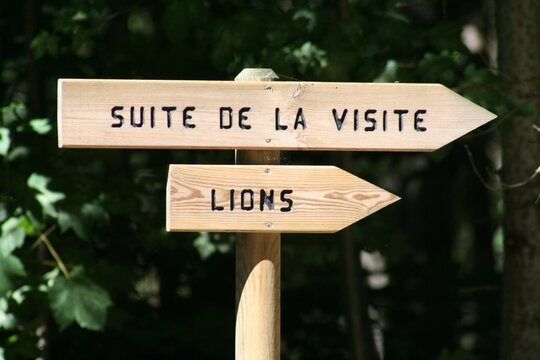 Zoo sign  "Suite de la visite - Lions" - Panneau indicateur dans un zoo "Suite de la visite - Lions"