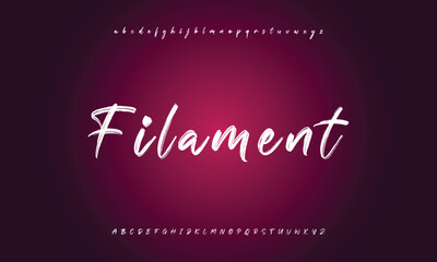 Hand drawn vector alphabet. Modern monoline signature script font. Elegant Signature Font. Best Alphabet Beautiful Calligraphy Signature Font lettering