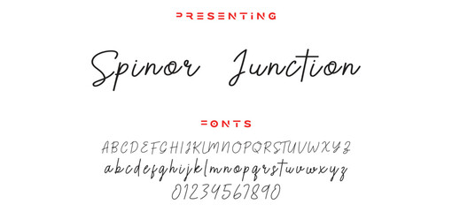 signature Font Calligraphy Logotype Script Brush Font Type Font lettering handwritten