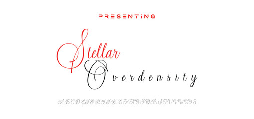 signature Font Calligraphy Logotype Script Brush Font Type Font lettering handwritten
