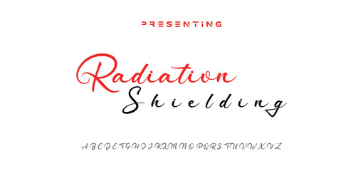 signature Font Calligraphy Logotype Script Brush Font Type Font lettering handwritten