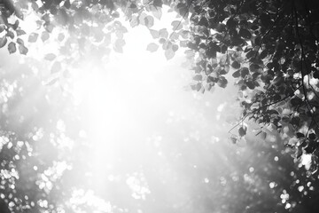 Abstract white glowing bokeh light pattern on a dark background